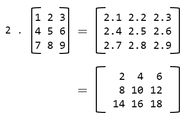 Scalar multiplication of matrix